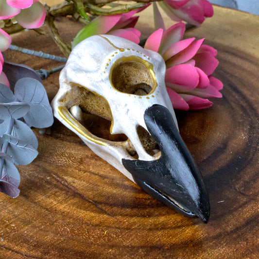 Three Eyed Raven Skull