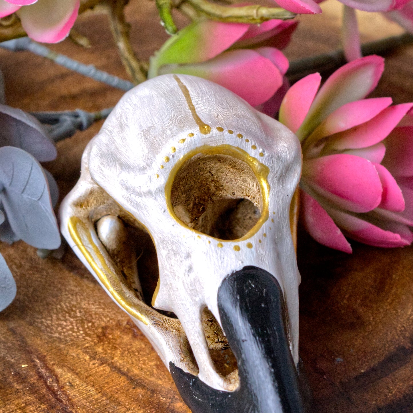 Three Eyed Raven Skull