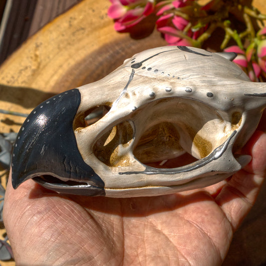 Gryphon Skull