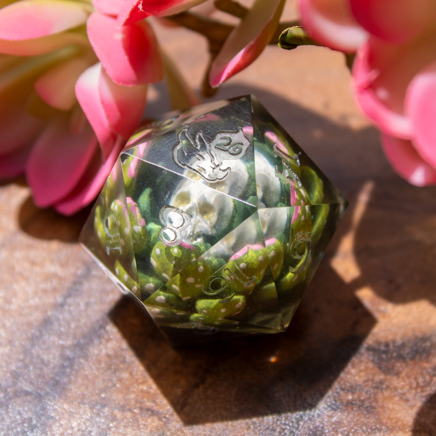 Skull Succulents - Jumbo D20