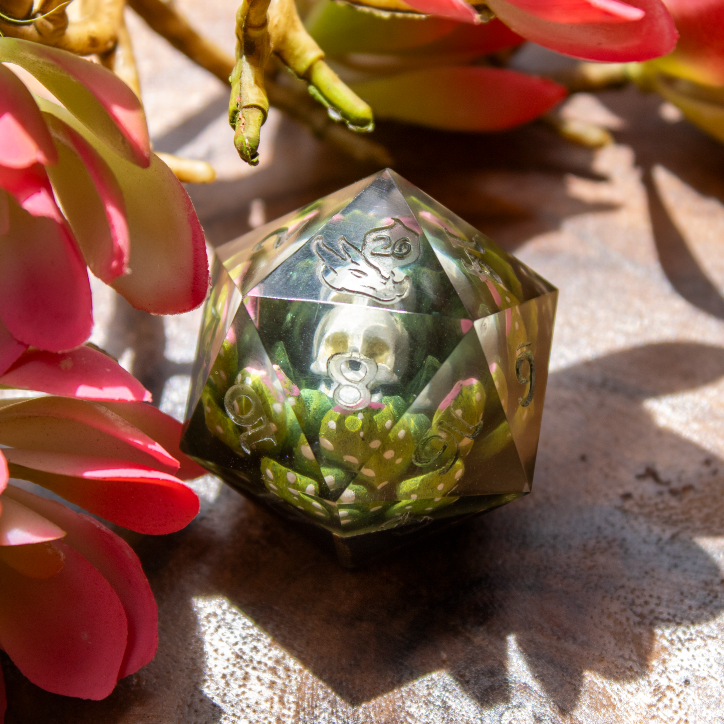 Skull Succulents - Jumbo D20