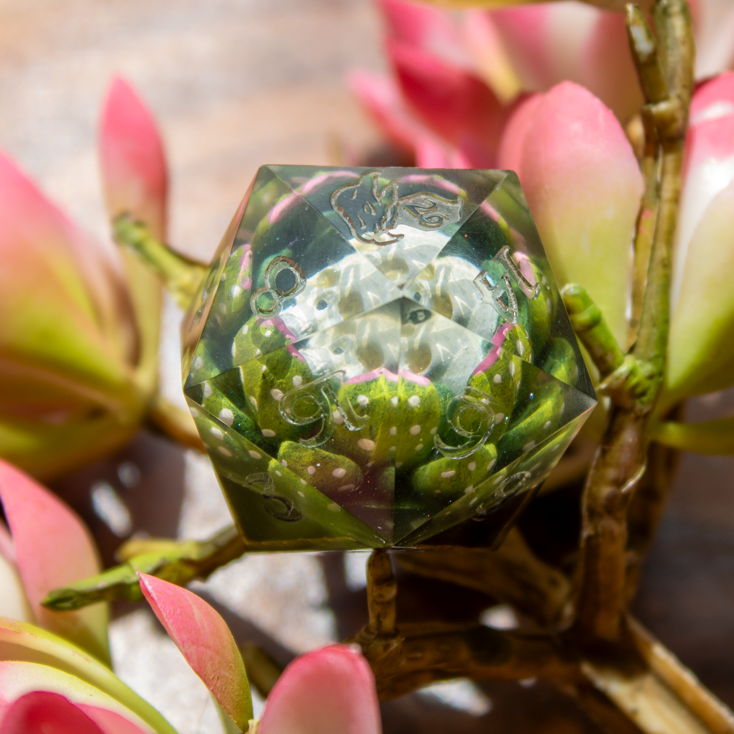 Skull Succulents - Jumbo D20